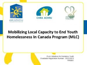 Mobilizing Local Capacity to End Youth Homelessness In