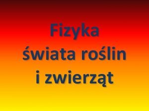 Fizyka wiata rolin i zwierzt ECHOLOKACJA CZYLI JAK