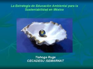 La Estrategia de Educacin Ambiental para la Sustentabilidad