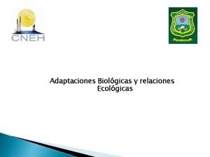 Adaptaciones Biolgicas y relaciones Ecolgicas Los Humedales Los