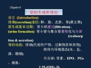 Afferent arteriole