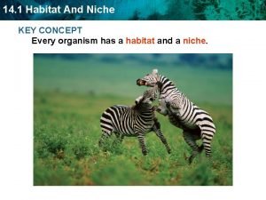 Habitat and niche