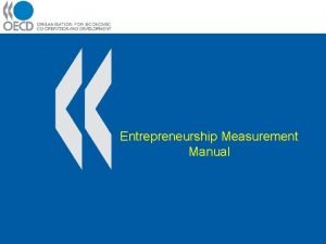 Entrepreneurship Measurement Manual Entrepreneurship Measurement Manual Introduction Background