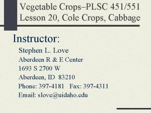 Vegetable CropsPLSC 451551 Lesson 20 Cole Crops Cabbage