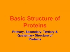 Primary secondary tertiary quaternary structure of proteins