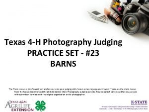 4-h photography judging