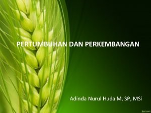 PERTUMBUHAN DAN PERKEMBANGAN Adinda Nurul Huda M SP