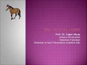 BSE IN STALLIONS Prof Dr Ergun Akay Ankara