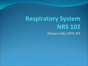 Respiratory System NRS 102 Denise Coffey MSN RN