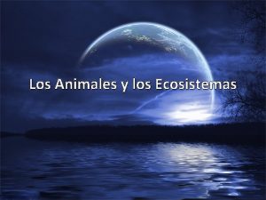 Tipos de ecosistemas