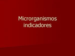 Microrganismos indicadores Critrios para definio de um microrganismo