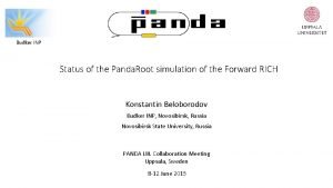 Budker INP Status of the Panda Root simulation