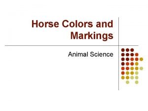 Horse Colors and Markings Animal Science Colors Bay