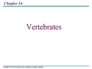 Chapter 34 Vertebrates Copyright 2005 Pearson Education Inc