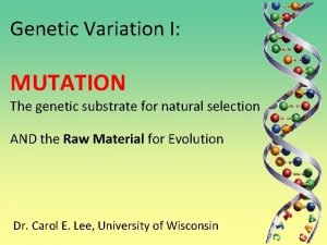 Genetic Variation I MUTATION The genetic substrate for