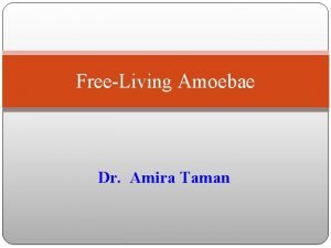 FreeLiving Amoebae Dr Amira Taman Amoebae Parasitic Freeliving