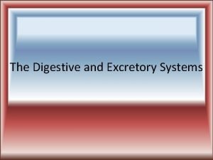Digestive system objectives