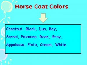 Horse Coat Colors Chestnut Black Dun Bay Sorrel