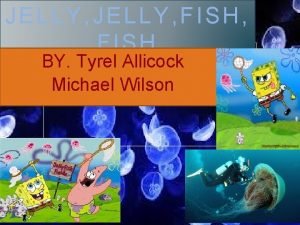 JELLY FISH FISH BY Tyrel Allicock Michael Wilson