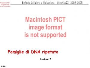 Dna alfoide