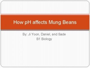 Hypothesis of mung beans