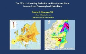 The Effects of Ionizing Radiation on NonHuman Biota