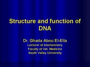Structure and function of DNA Dr Ghada Abou