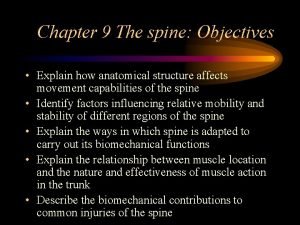 Clinical biomechanics of the spine