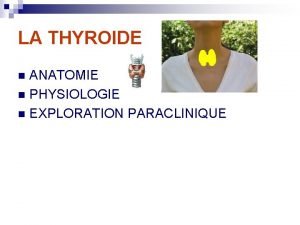 LA THYROIDE ANATOMIE n PHYSIOLOGIE n EXPLORATION PARACLINIQUE