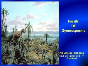 Fossils Of Gymnosperms DR VISHAL SHARMA Govt College