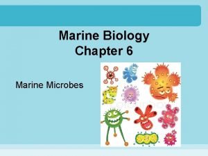 Marine Biology Chapter 6 Marine Microbes Microbes Any