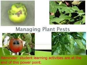 Managing Plant Pests Reminder student learning activities are
