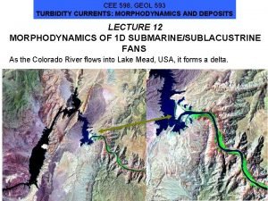 CEE 598 GEOL 593 TURBIDITY CURRENTS MORPHODYNAMICS AND