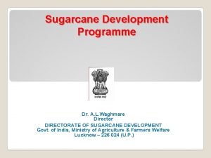 Economic importance of sugarcane