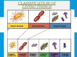 CLASSIFICATION OF LIVING THINGS WHY DO WE CLASSIFY