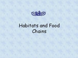 Habitats and Food Chains What is an ecosystem