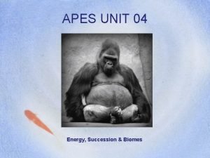 APES UNIT 04 Energy Succession Biomes Chapter 8