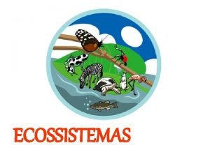 ECOSSISTEMAS INTRODUO Ecossistema unidade ecolgica formada pelos seres