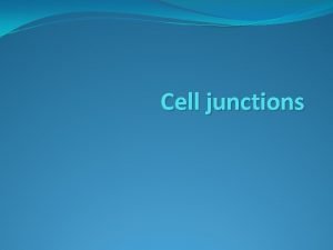 Cell junctions INTERCELLULAR JUNCTION 1 Tight junction 2