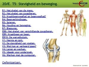 2 DE T 5 Stevigheid en beweging B