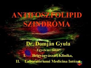 ANTIFOSZFOLIPID SZINDRMA Dr Domjn Gyula Egyetemi tanr I