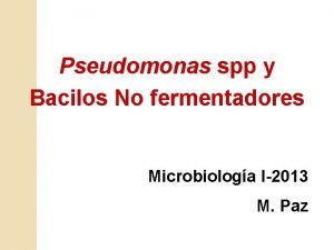 Pseudomonas spp y Bacilos No fermentadores Microbiologa I2013