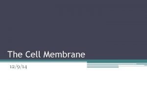 The Cell Membrane 12914 DoNow 121714 What do