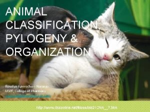 ANIMAL CLASSIFICATION PYLOGENY ORGANIZATION Roselyn Aperocho Naranjo USPF