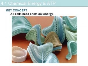 Is atp chemical energy