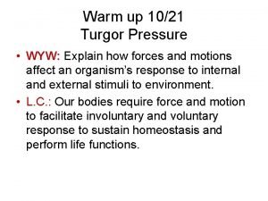 Warm up 1021 Turgor Pressure WYW Explain how