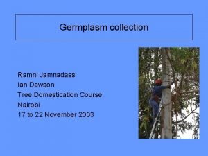 Germplasm collection Ramni Jamnadass Ian Dawson Tree Domestication