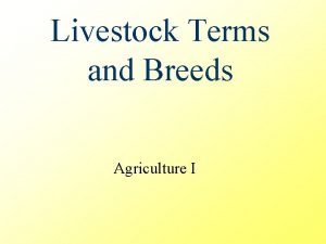 Livestock Terms and Breeds Agriculture I General Livestock