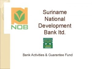 Suriname National Development Bank ltd Bank Activities Guarantee