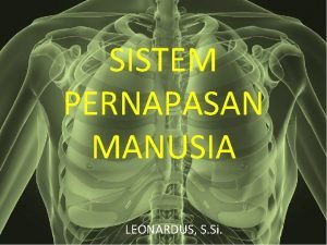 SISTEM PERNAPASAN MANUSIA LEONARDUS S Si PENDAHULUAN Pernapasan